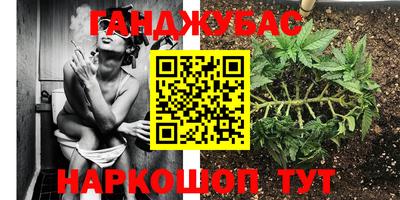 винт Новокубанск
