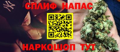 прущие грибы Обнинск