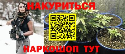прущие грибы Обнинск