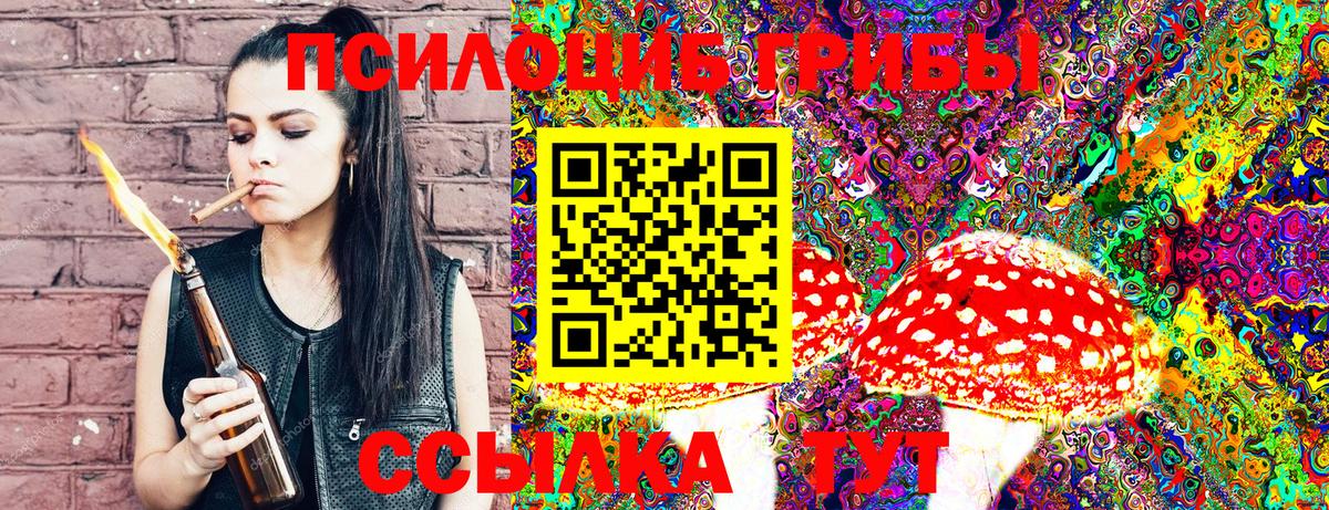 Псилоцибиновые грибы Magic Shrooms Протвино